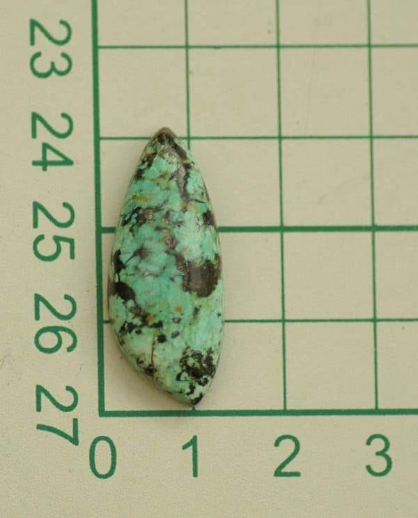 Turquoise afrique